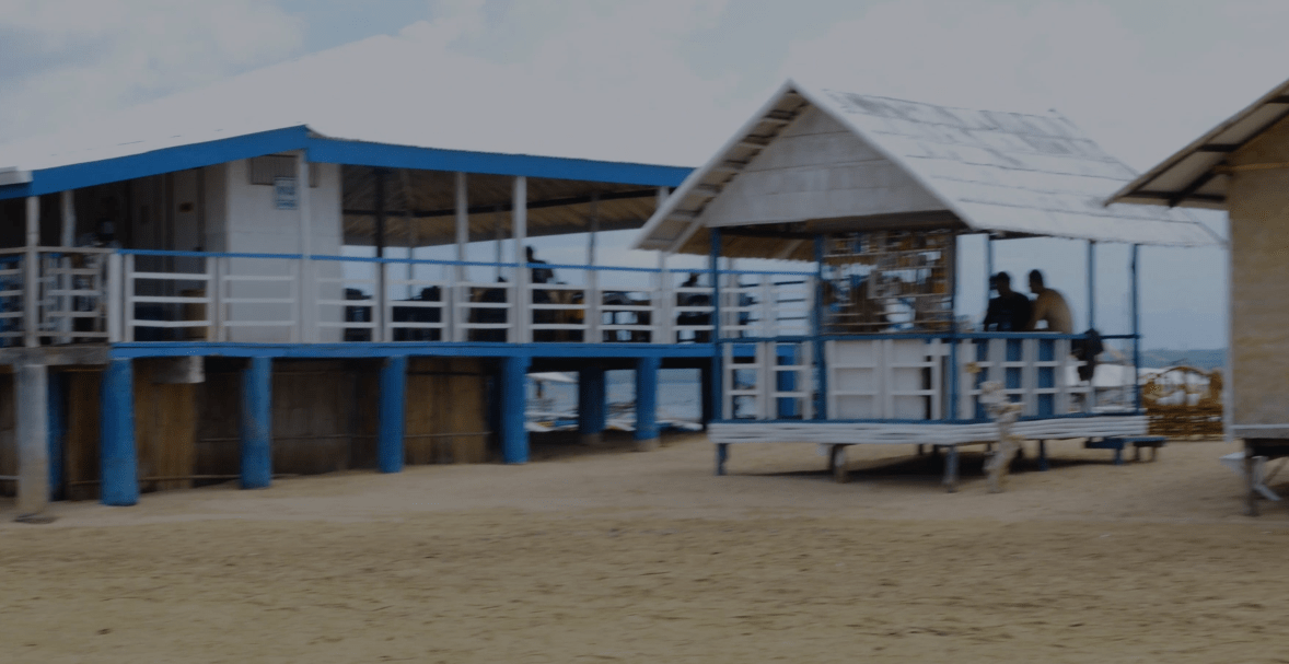 the houses on luli island are on stilts