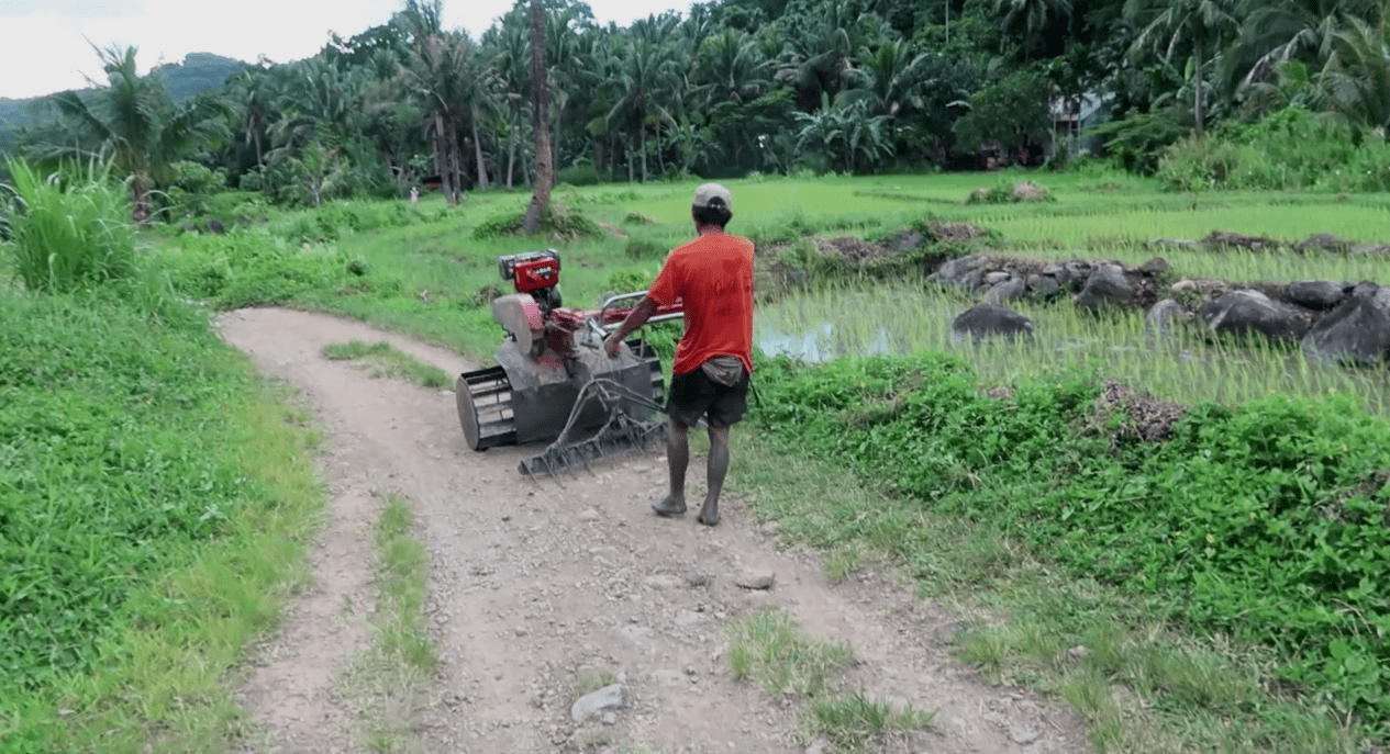 a filipino farmer in pagudpud ilocos norte philippines