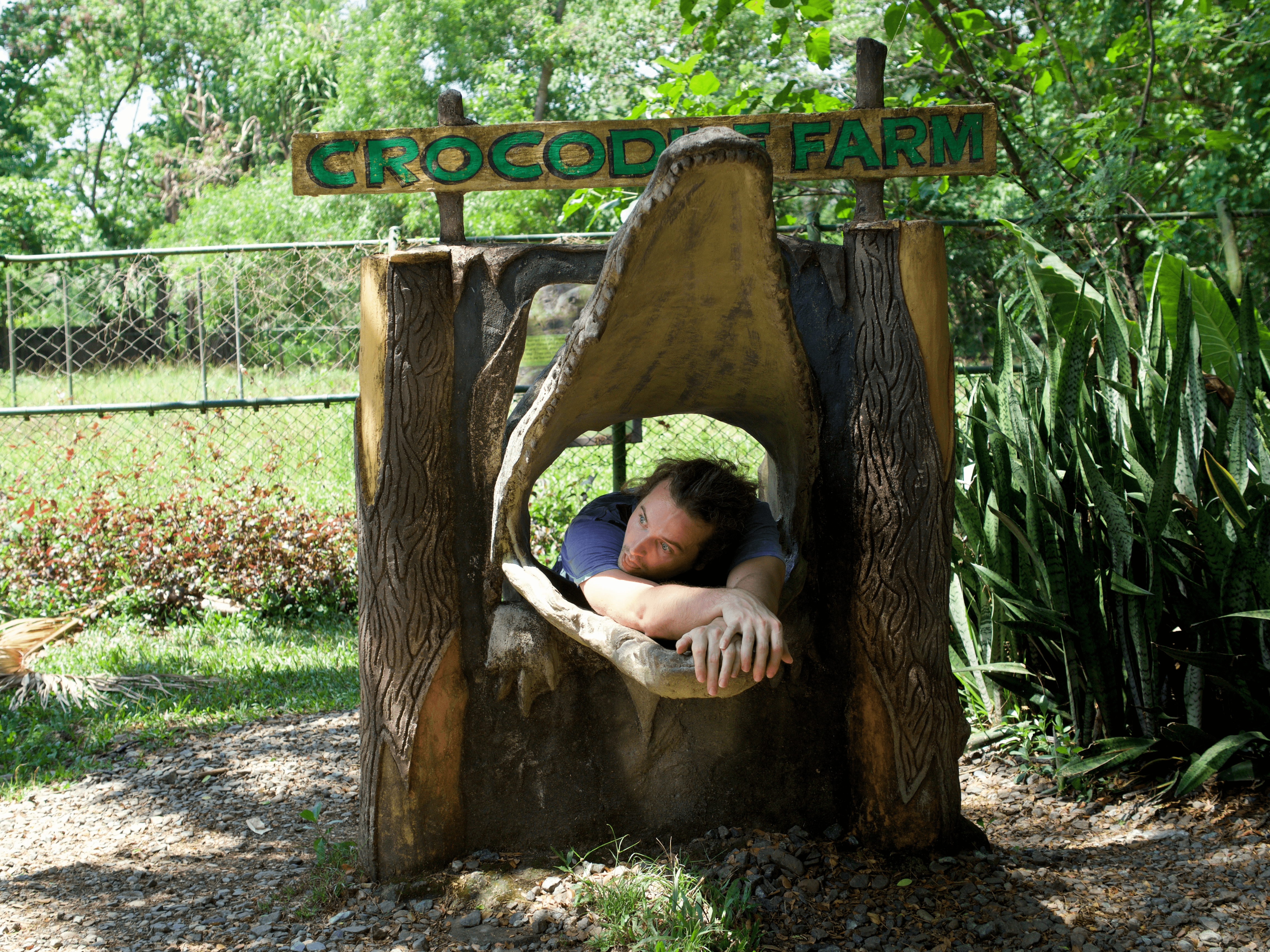 LennyThroughParadise in the mouth of a crocodile posing